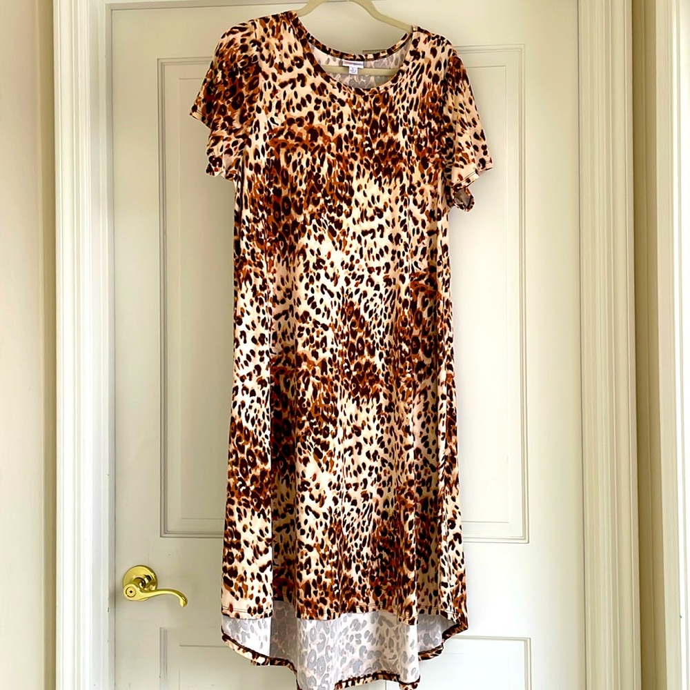 LuLaRoe “Carly Swing dress” high-low dress